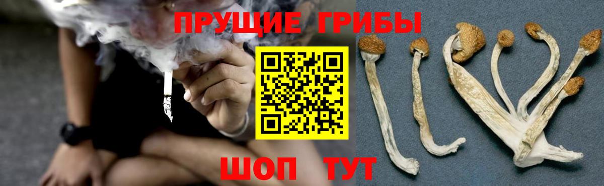 Псилоцибиновые грибы мухоморы Кандалакша